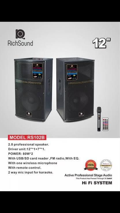 Richsound RS102B 12" 2.0 Professional Speaker System